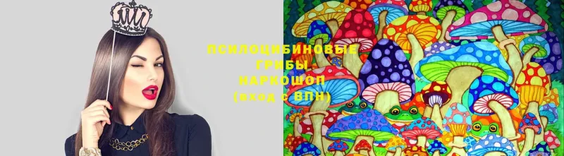 Псилоцибиновые грибы MAGIC MUSHROOMS  мориарти официальный сайт  Барыш 